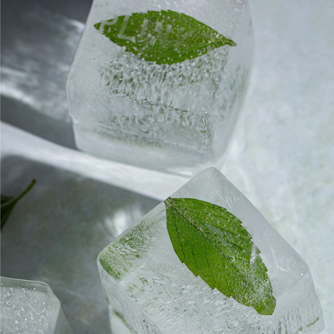 Drinks Plinks MegaCube Ice Block Tray